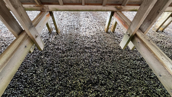 Was ist ein Gradierwerk? Zwischen Salznebel, Tradition und heilsamer Luft