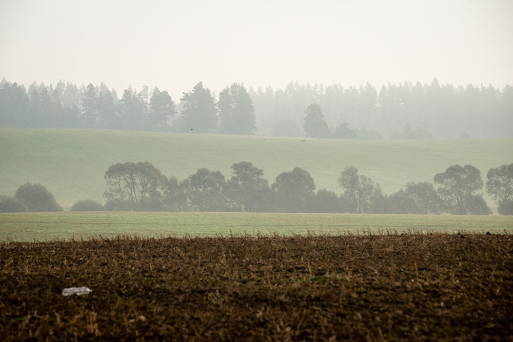 Ammoniak & Aerosole: Wenn die Landluft Allergiker krank macht