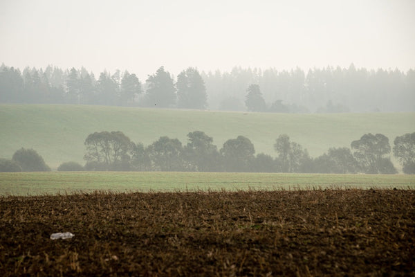 Ammoniak & Aerosole: Wenn die Landluft Allergiker krank macht